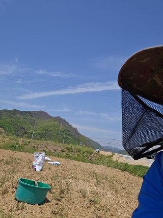 전복수님의 벼 · 영농일지 작성글 사진