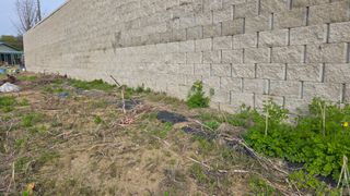 현이님의 기타작물 · 영농일지 작성글 사진