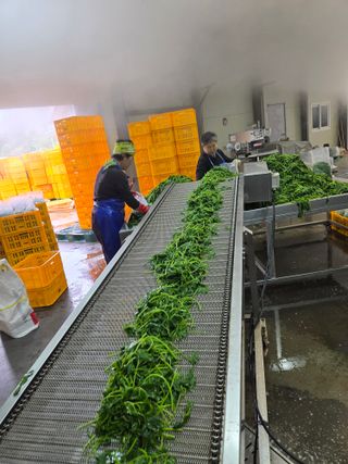 서동일님의 기타작물 · 영농일지 작성글 사진