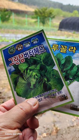 28 268 HQ님의 오이 · 영농일지 작성글 사진