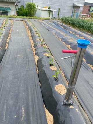 최선조님의 기타작물 · 영농일지 작성글 사진