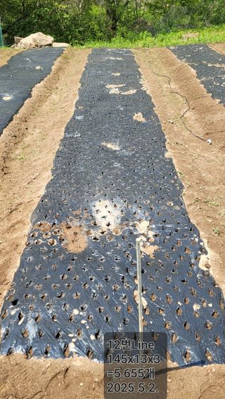 서초농원님의 기타작물 · 영농일지 작성글 사진