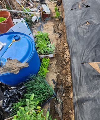 스마일00님의 기타작물 · 영농일지 작성글 사진