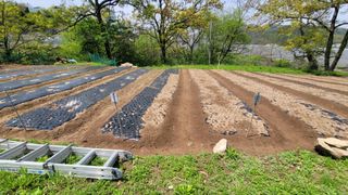 서초농원님의 기타작물 · 영농일지 작성글 사진