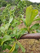 팜모닝 기타작물·영농일지 게시글 이미지