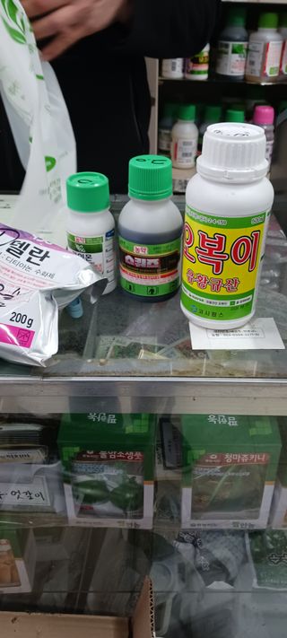 김 연님의 기타작물 · 영농일지 작성글 사진