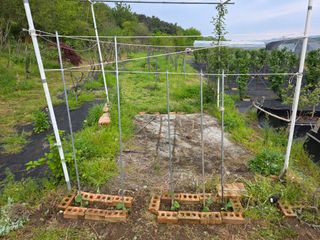 거여농원(방정재)님의 기타작물 · 영농일지 작성글 사진