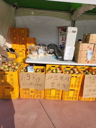 조태순 님의 사과 · 영농일지 작성글 사진