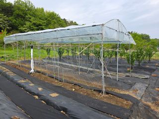 거여농원(방정재)님의 기타작물 · 영농일지 작성글 사진