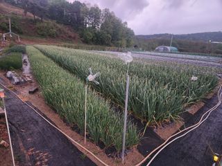 들깨17250님의 기타작물 · 영농일지 작성글 사진