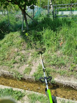 새의눈님의 매실 · 영농일지 작성글 사진