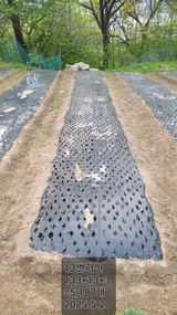 팜모닝 기타작물·영농일지 게시글 이미지