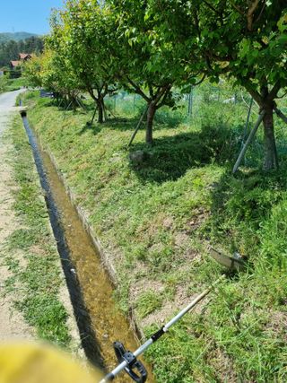 새의눈님의 매실 · 영농일지 작성글 사진