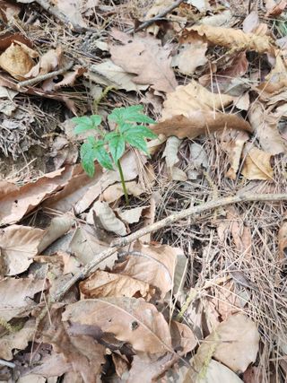 유정근님의 기타작물 · 영농일지 작성글 사진