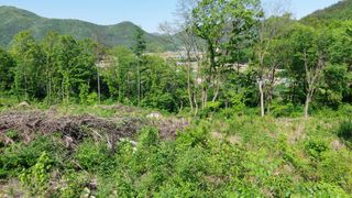 유병욱님의 기타작물 · 영농일지 작성글 사진