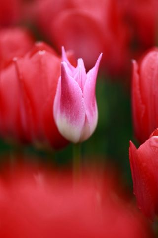 박석배님의 기타작물 · 영농일지 작성글 사진