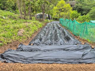 진문거사님의 기타작물 · 영농일지 작성글 사진