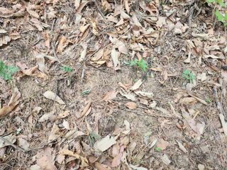 유정근님의 기타작물 · 영농일지 작성글 사진