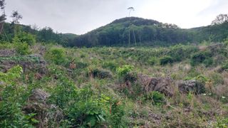 유병욱님의 기타작물 · 영농일지 작성글 사진