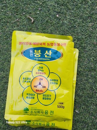 박종권님의 마늘 · 영농일지 작성글 사진