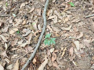 유정근님의 기타작물 · 영농일지 작성글 사진