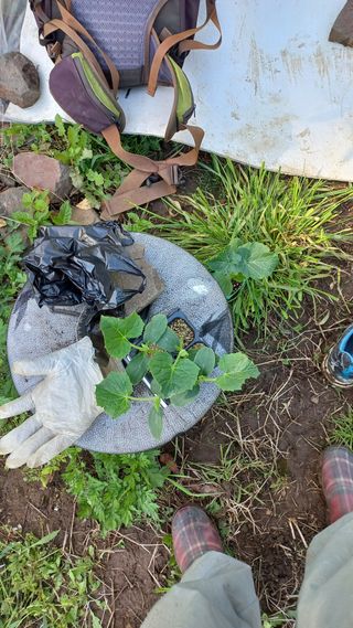 초보 구찌뽕님의 오이 · 영농일지 작성글 사진