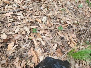 유정근님의 기타작물 · 영농일지 작성글 사진