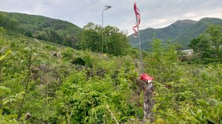 유병욱님의 기타작물 · 영농일지 작성글 사진