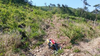 유병욱님의 기타작물 · 영농일지 작성글 사진