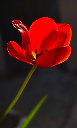 박석배님의 기타작물 · 영농일지 작성글 사진