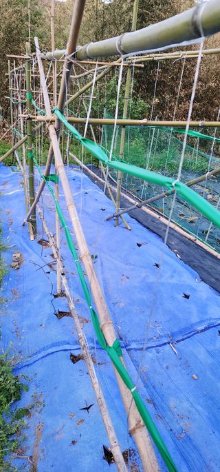 안뜰그랑님의 기타작물 · 영농일지 작성글 사진