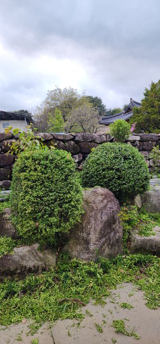 김제일님의 기타작물 · 영농일지 작성글 사진