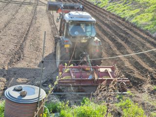 홍천.서석.안민기님의 기타작물 · 영농일지 작성글 사진