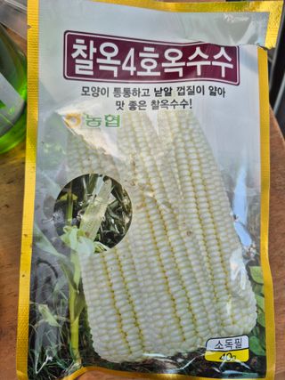 박순례님의 고추 · 영농일지 작성글 사진