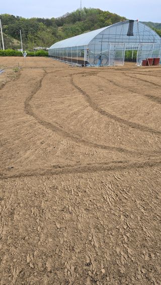 전영순님의 기타작물 · 영농일지 작성글 사진