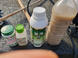 김정태님의 고추 · 영농일지 작성글 사진