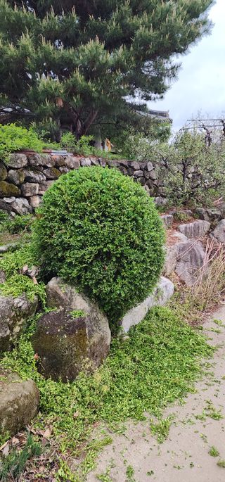 김제일님의 기타작물 · 영농일지 작성글 사진