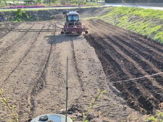 홍천.서석.안민기님의 기타작물 · 영농일지 작성글 사진