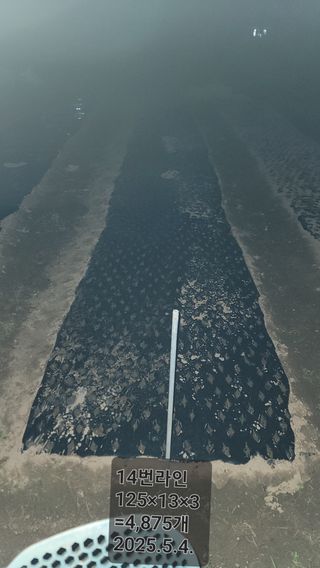 서초농원님의 기타작물 · 영농일지 작성글 사진