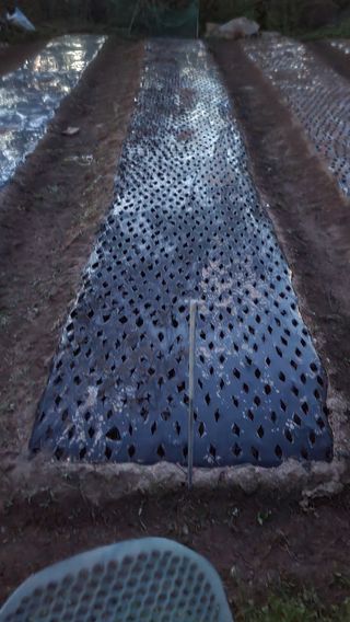 서초농원님의 기타작물 · 영농일지 작성글 사진