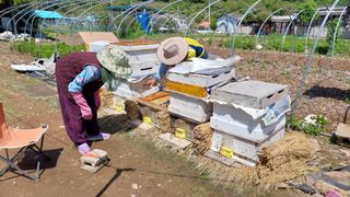 유병욱님의 벼 · 영농일지 작성글 사진