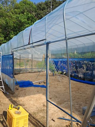 류남열님의 기타작물 · 영농일지 작성글 사진