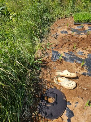 강선미님의 기타작물 · 영농일지 작성글 사진