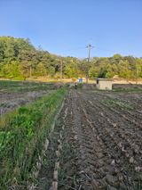 팜모닝 기타작물·영농일지 게시글 이미지