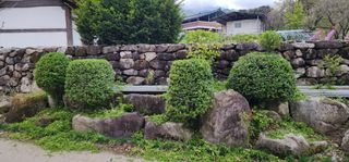 김제일님의 기타작물 · 영농일지 작성글 사진