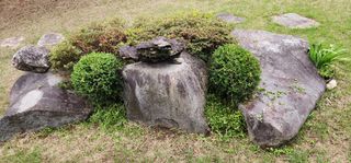 김제일님의 기타작물 · 영농일지 작성글 사진