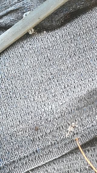 여우내 이순홍님의 포도 · 영농일지 작성글 사진