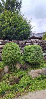 팜모닝 기타작물·영농일지 게시글 이미지