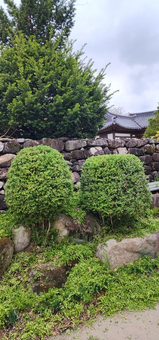 김제일님의 기타작물 · 영농일지 작성글 사진