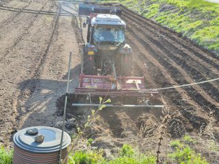 홍천.서석.안민기님의 기타작물 · 영농일지 작성글 사진